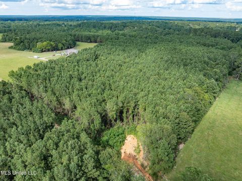 Vacant Land For Sale - PARCEL C J. Runnels Road<br/> Petal, MS 39465