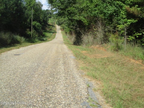 Vacant Land For Sale - Allen Trail<br/> Carson, MS 39427