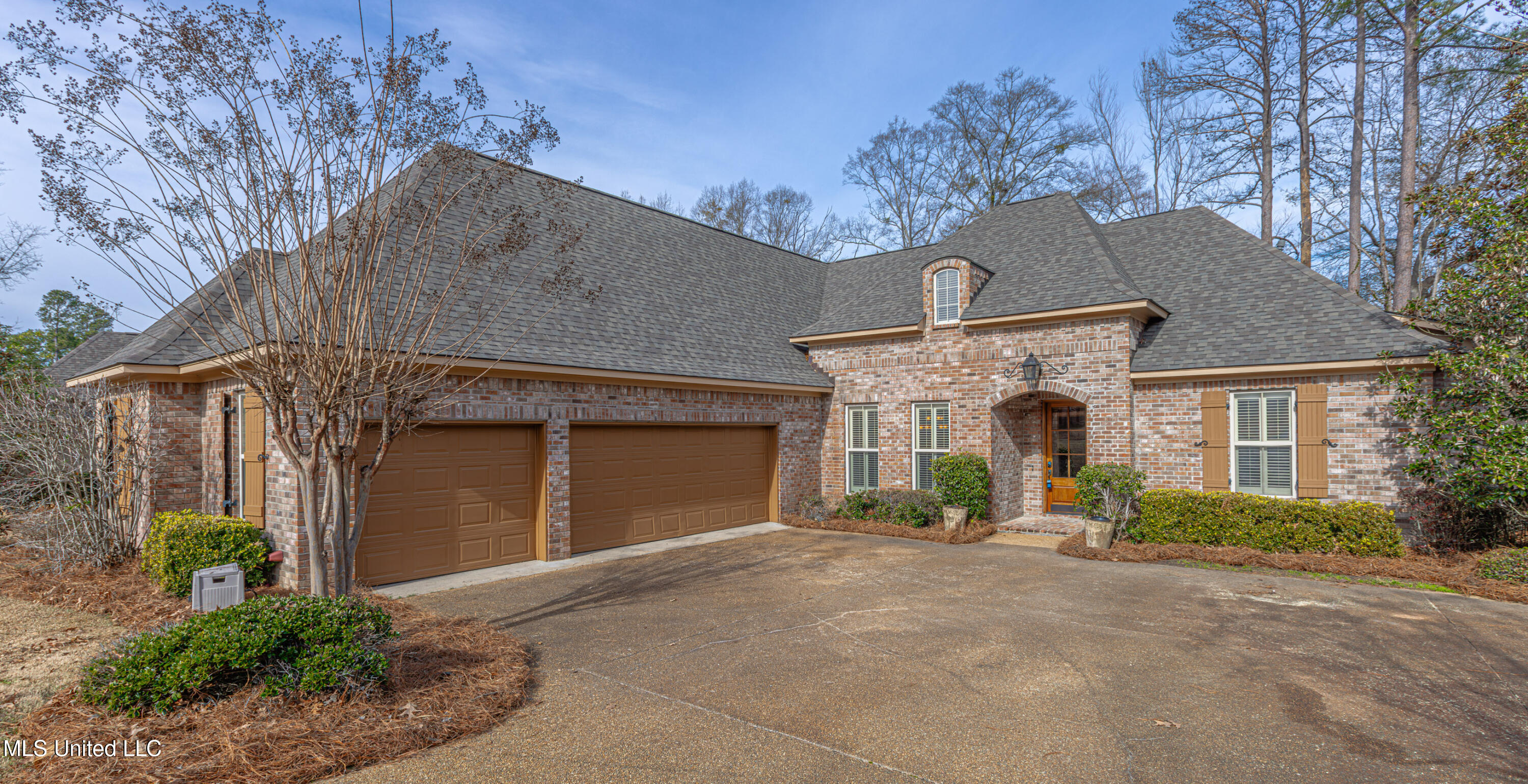 218 Timberland Terrace, Madison, Mississippi image 3