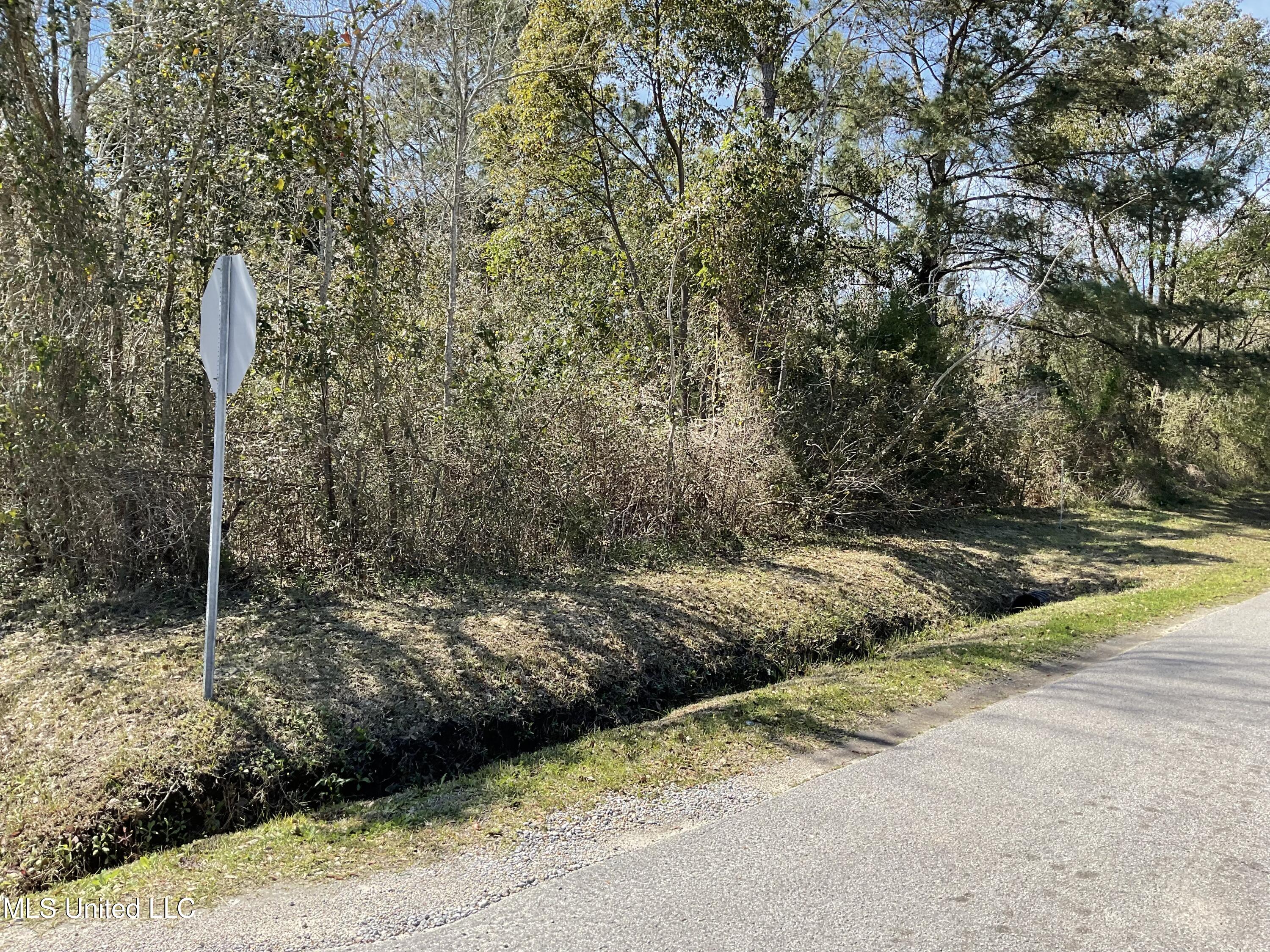 725 Sears Avenue, Waveland, Mississippi image 3