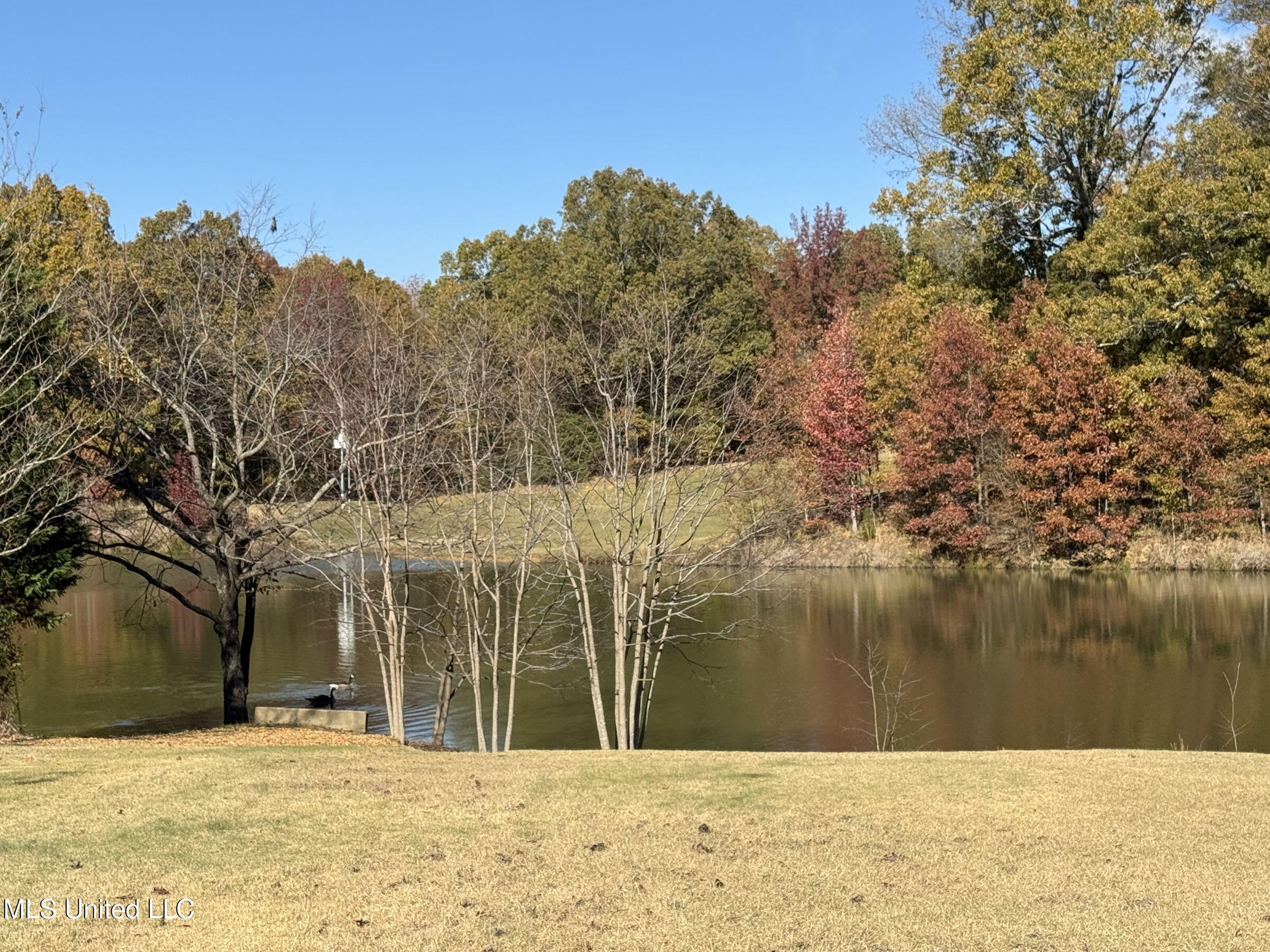 114 Sherwood Cove, Batesville, Mississippi image 17