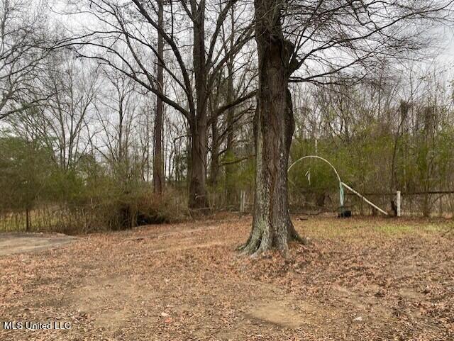 28 Peppertree Lane, Senatobia, Mississippi image 29