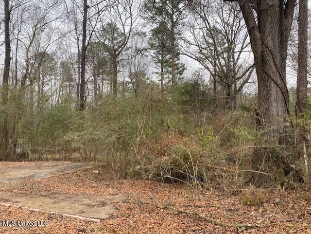 28 Peppertree Lane, Senatobia, Mississippi image 28