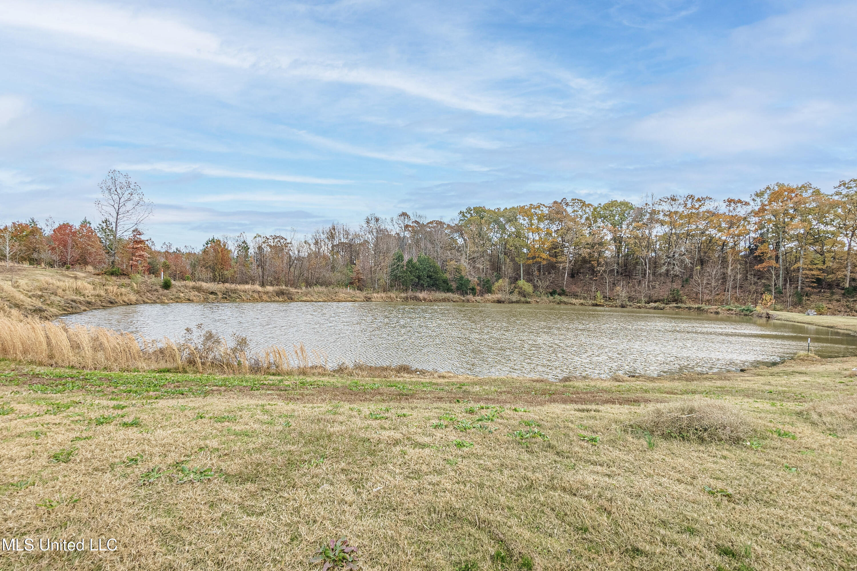 2636 Rodeo Way, Nesbit, Mississippi image 30