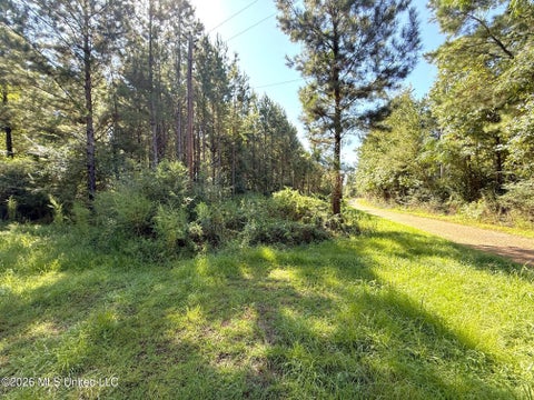 Vacant Land For Sale - Bethel Road<br/> Amite County, Liberty, MS 39645