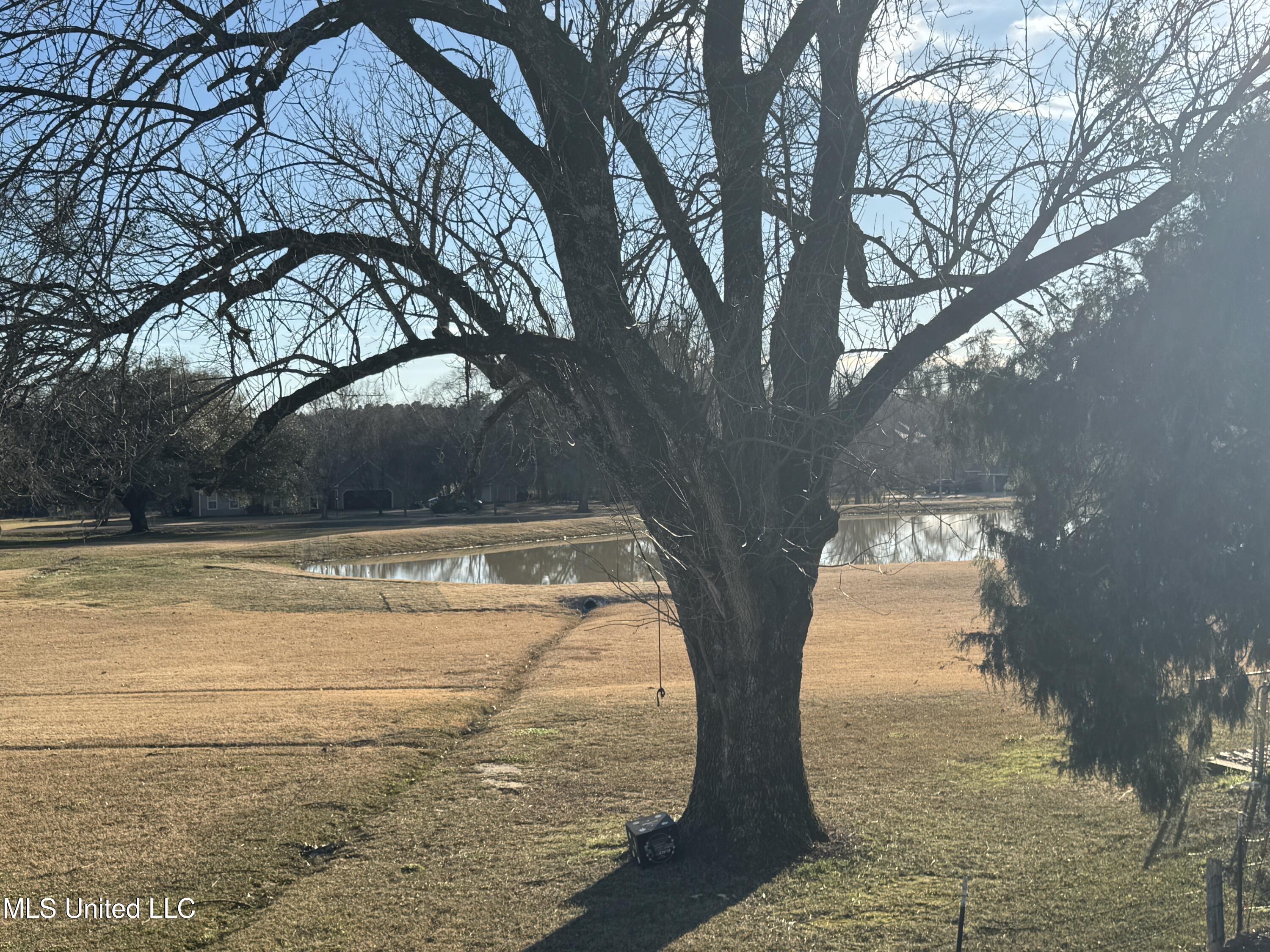 107 Horseshoe Boulevard, Clinton, Mississippi image 29