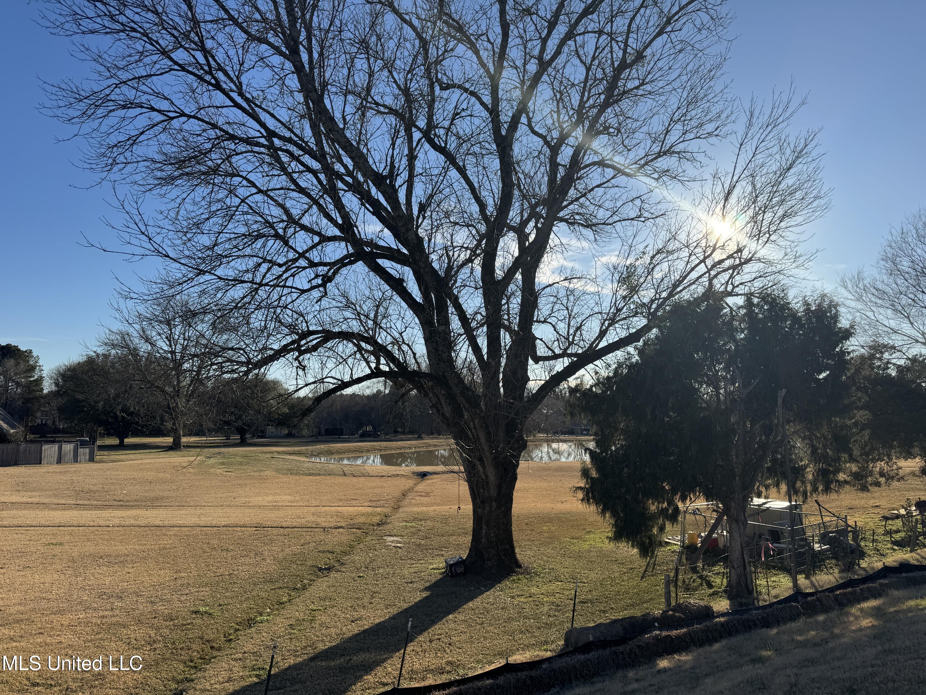107 Horseshoe Boulevard, Clinton, Mississippi image 30