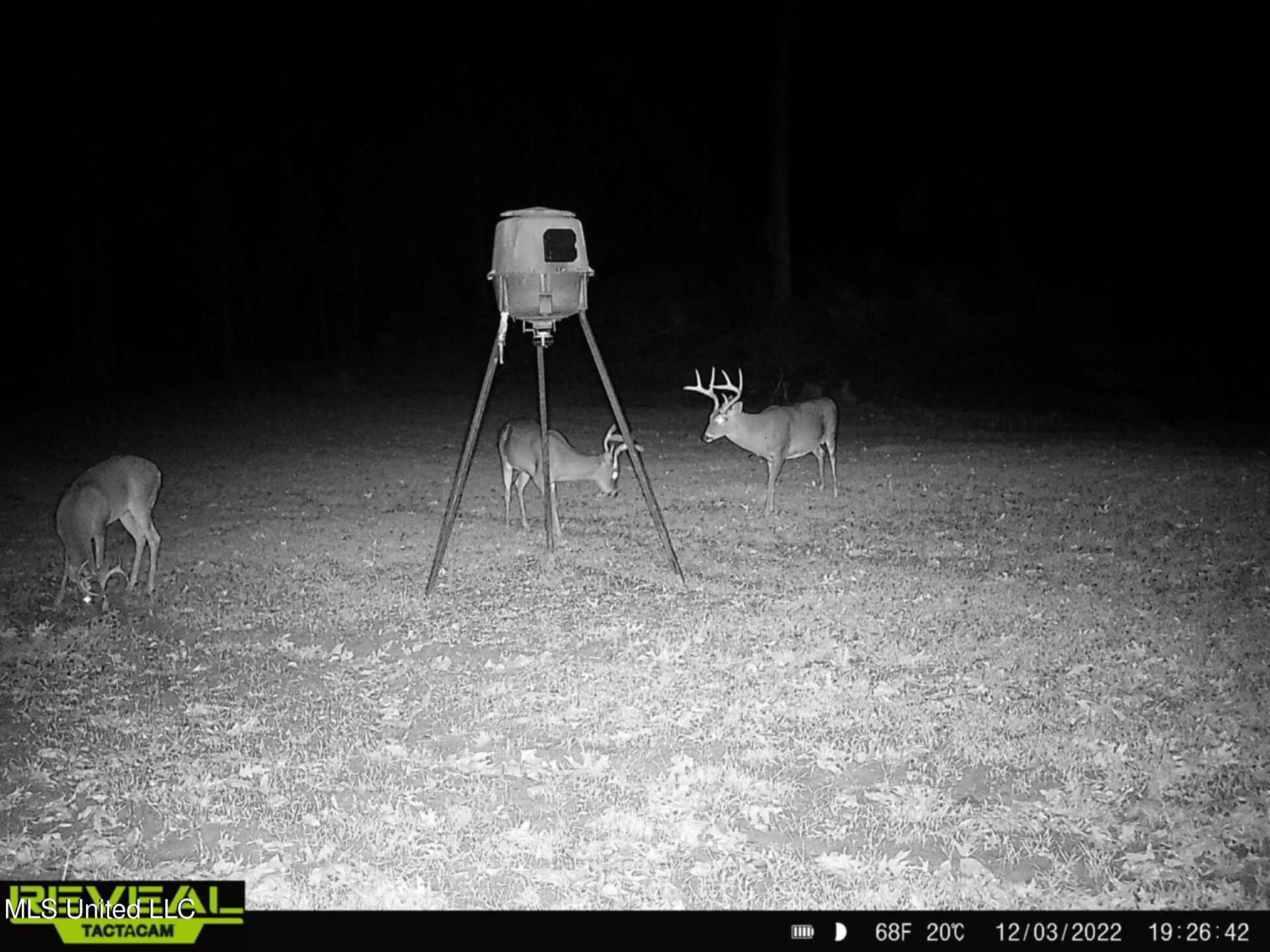 38 Holstead Road, Natchez, Mississippi image 10