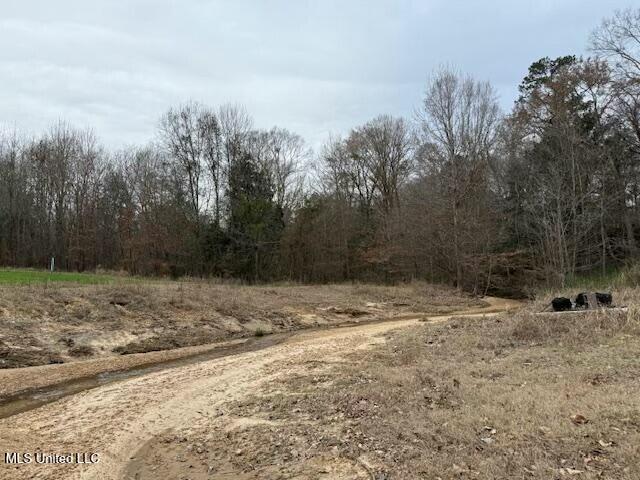 38 Holstead Road, Natchez, Mississippi image 44