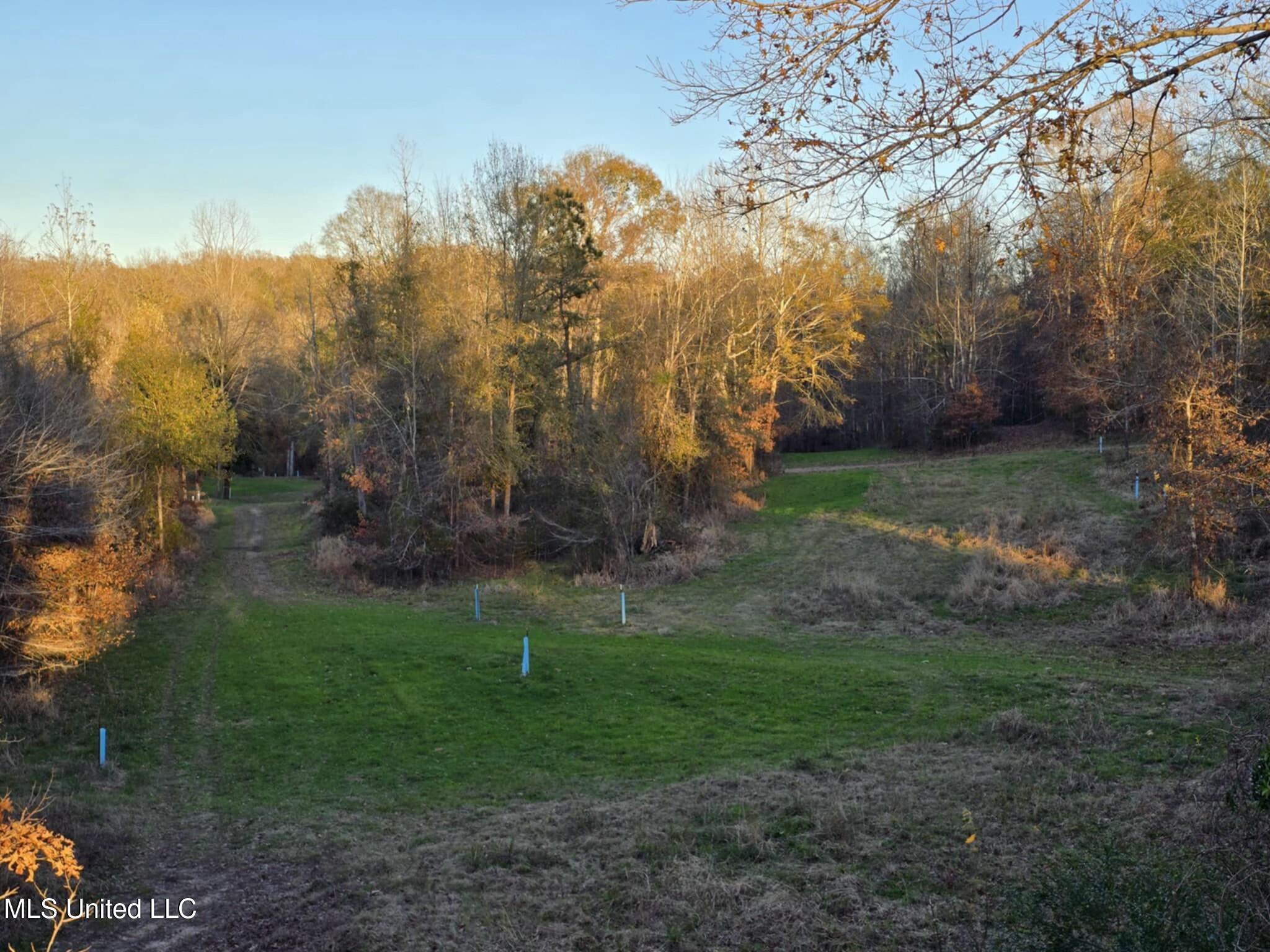 38 Holstead Road, Natchez, Mississippi image 47
