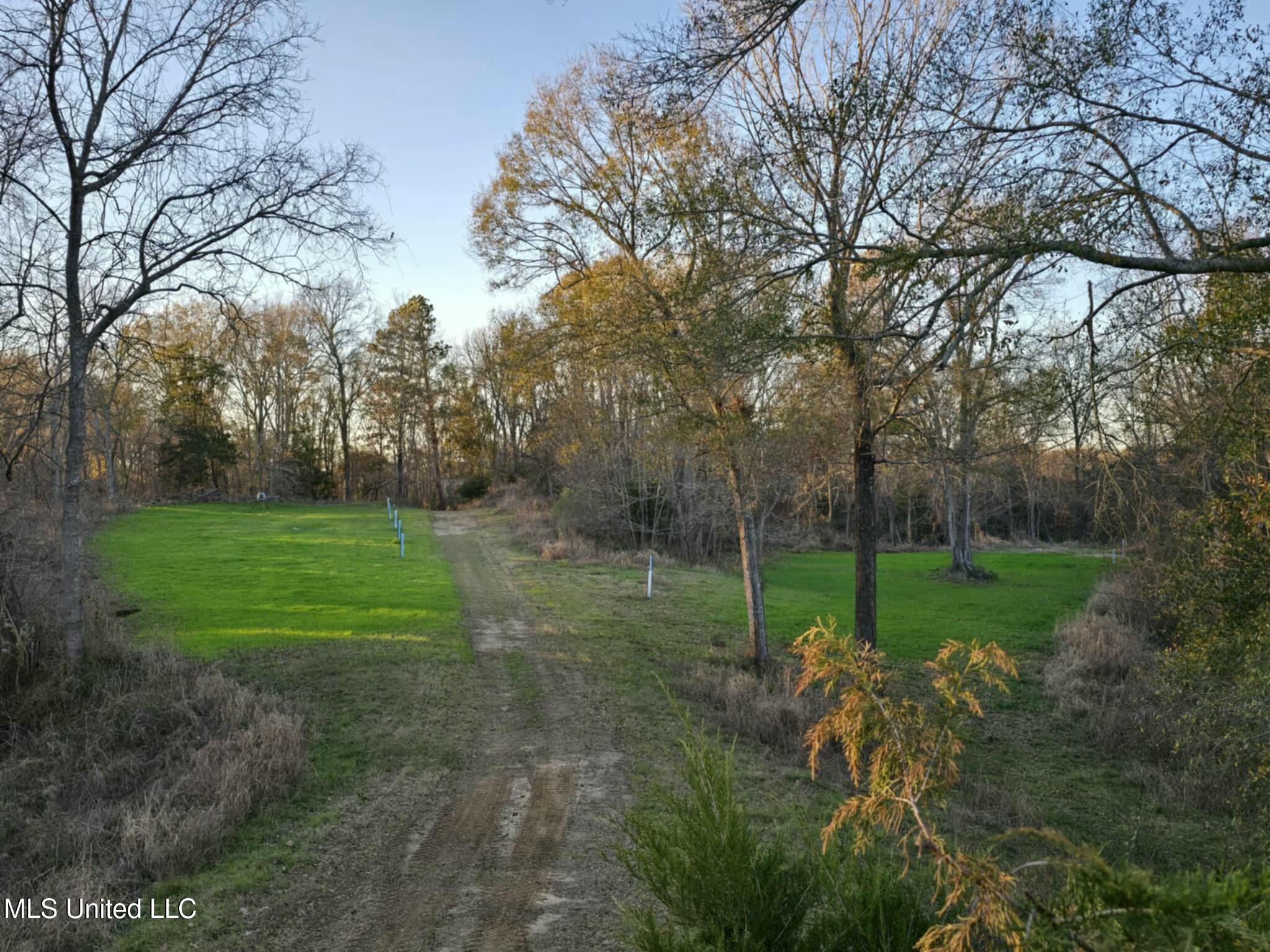 38 Holstead Road, Natchez, Mississippi image 50