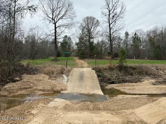 38 Holstead Road, Natchez, Mississippi image 43