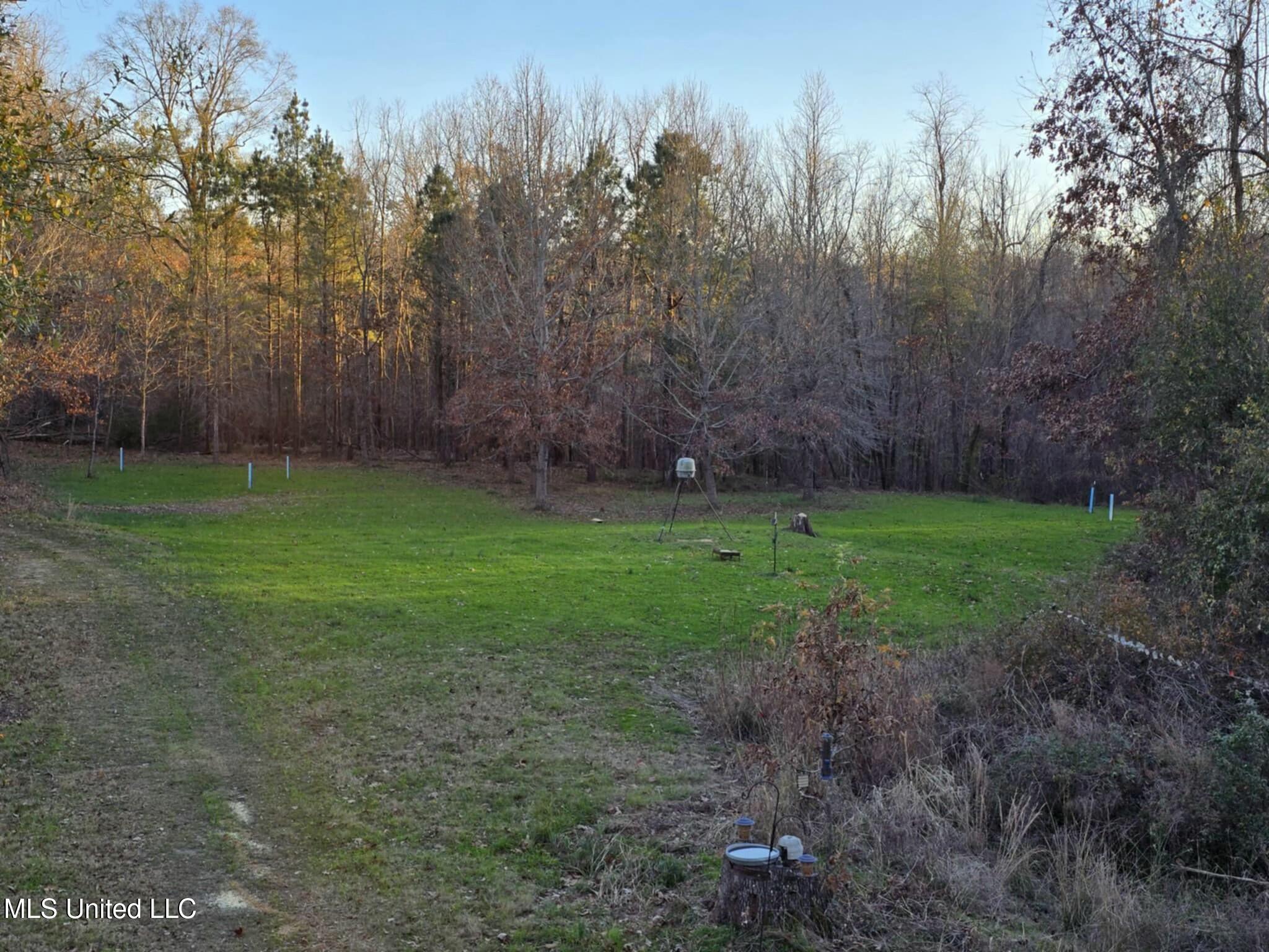 38 Holstead Road, Natchez, Mississippi image 49