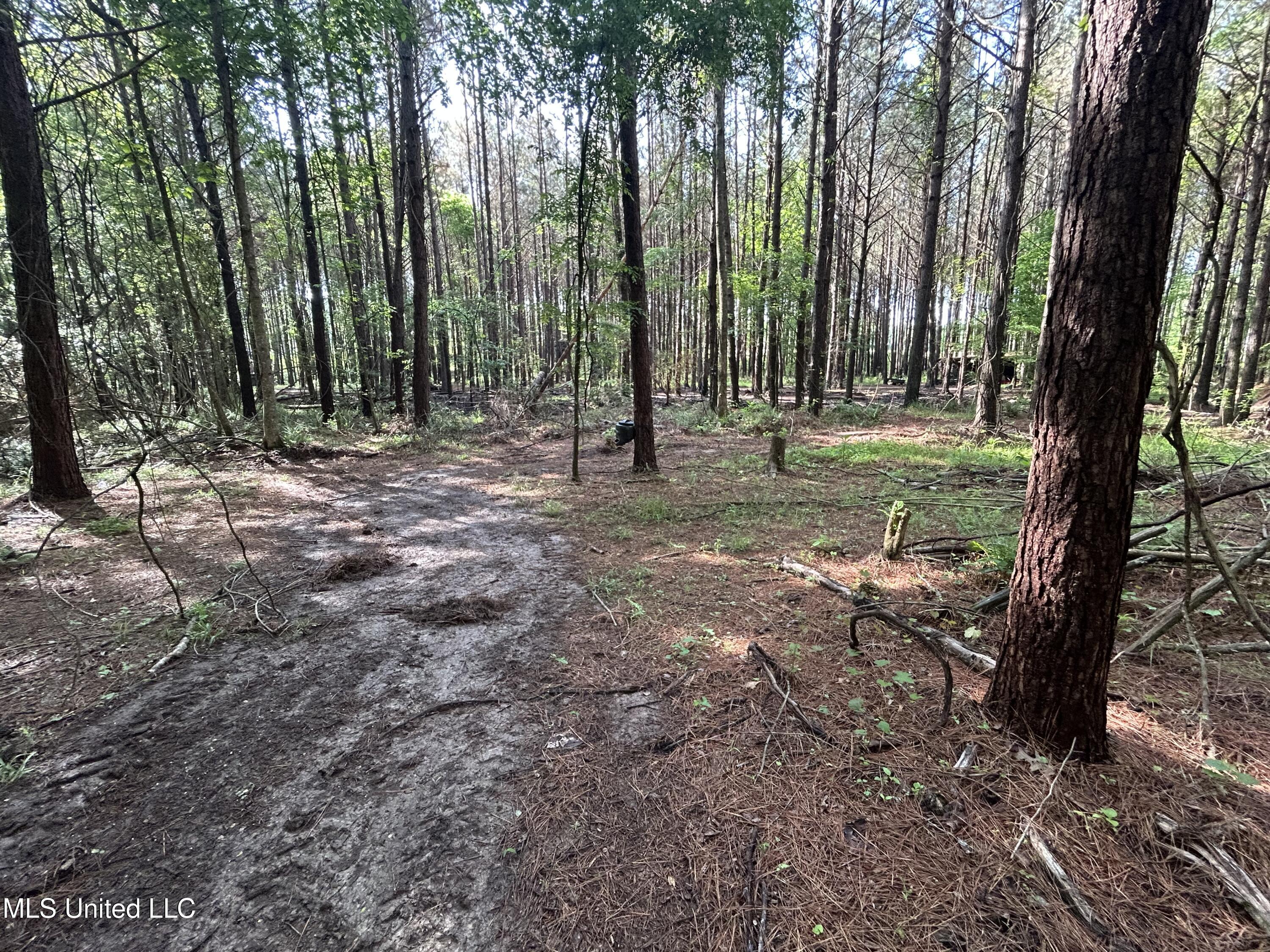 3330 County Road 422, Ethel, Mississippi image 10