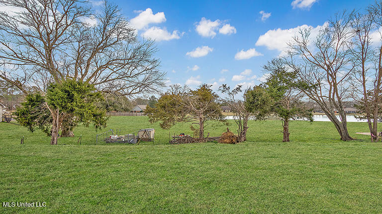 109 Horseshoe Blvd, Clinton, Mississippi image 39