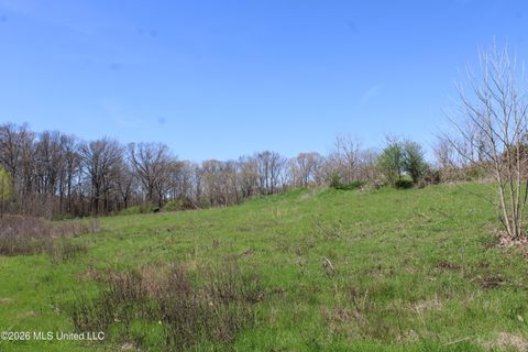 Vacant Land For Sale - 11 Barton Desoto Road<br/> Marshall County, Olive Branch, MS 38654