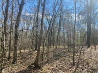 Turkey Creek Road, Natchez, Mississippi image 3