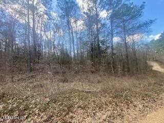 Turkey Creek Road, Natchez, Mississippi image 16