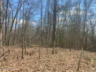 Turkey Creek Road, Natchez, Mississippi image 2