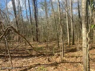 Turkey Creek Road, Natchez, Mississippi image 11