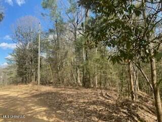 Turkey Creek Road, Natchez, Mississippi image 24