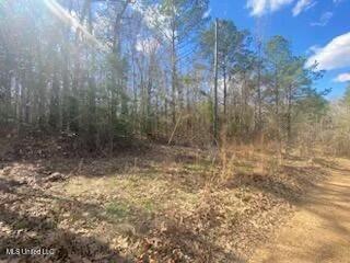 Turkey Creek Road, Natchez, Mississippi image 15