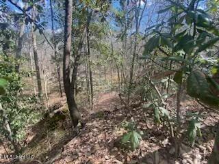 Turkey Creek Road, Natchez, Mississippi image 19