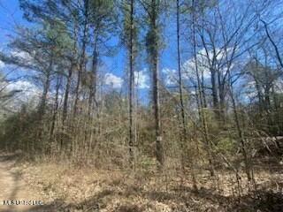 Turkey Creek Road, Natchez, Mississippi image 20