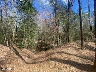 Turkey Creek Road, Natchez, Mississippi image 22