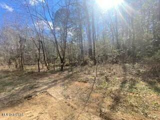 Turkey Creek Road, Natchez, Mississippi image 18