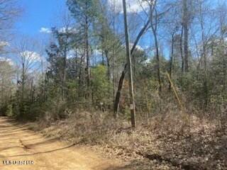 Turkey Creek Road, Natchez, Mississippi image 23