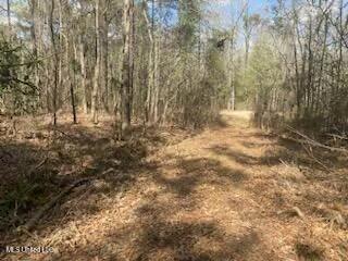 Turkey Creek Road, Natchez, Mississippi image 12