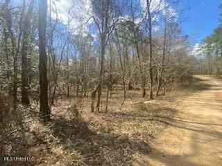 Turkey Creek Road, Natchez, Mississippi image 17