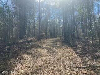 Turkey Creek Road, Natchez, Mississippi image 13