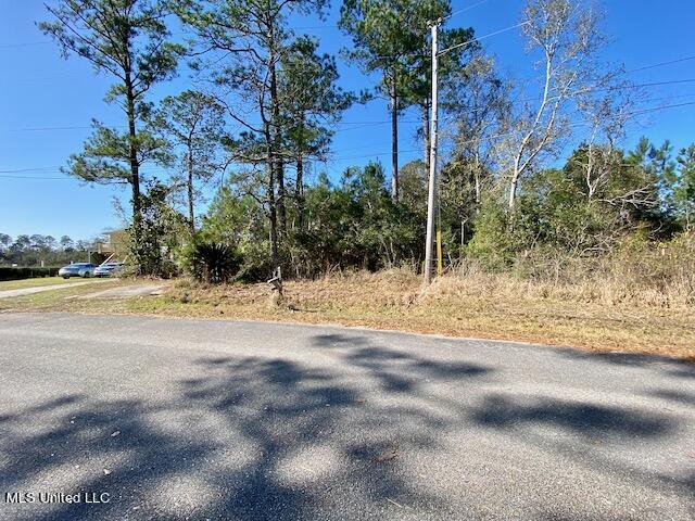 5065 N Daytona Drive, Pearlington, Mississippi image 1