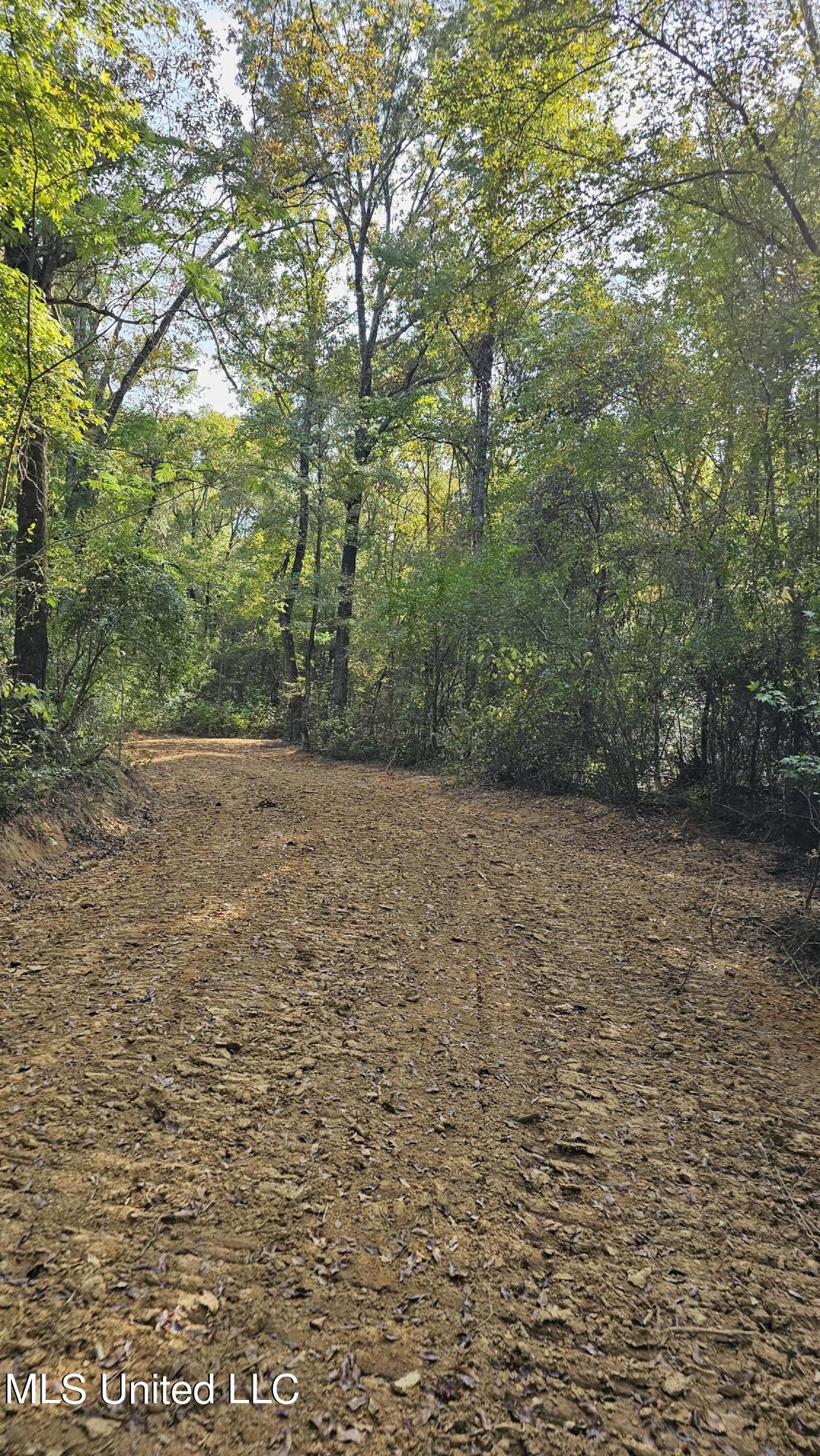 Highway 35, Vaiden, Mississippi image 27