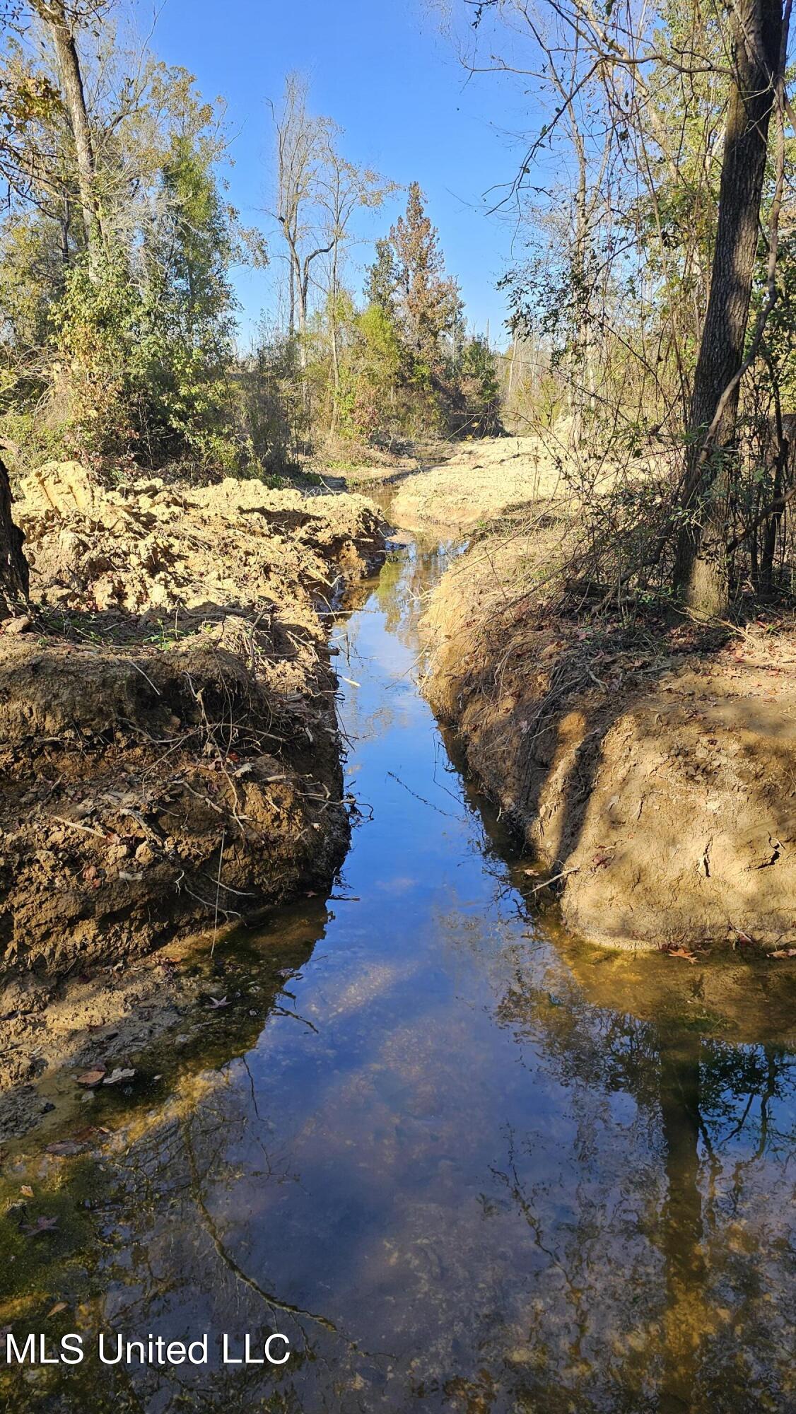 Highway 35, Vaiden, Mississippi image 36