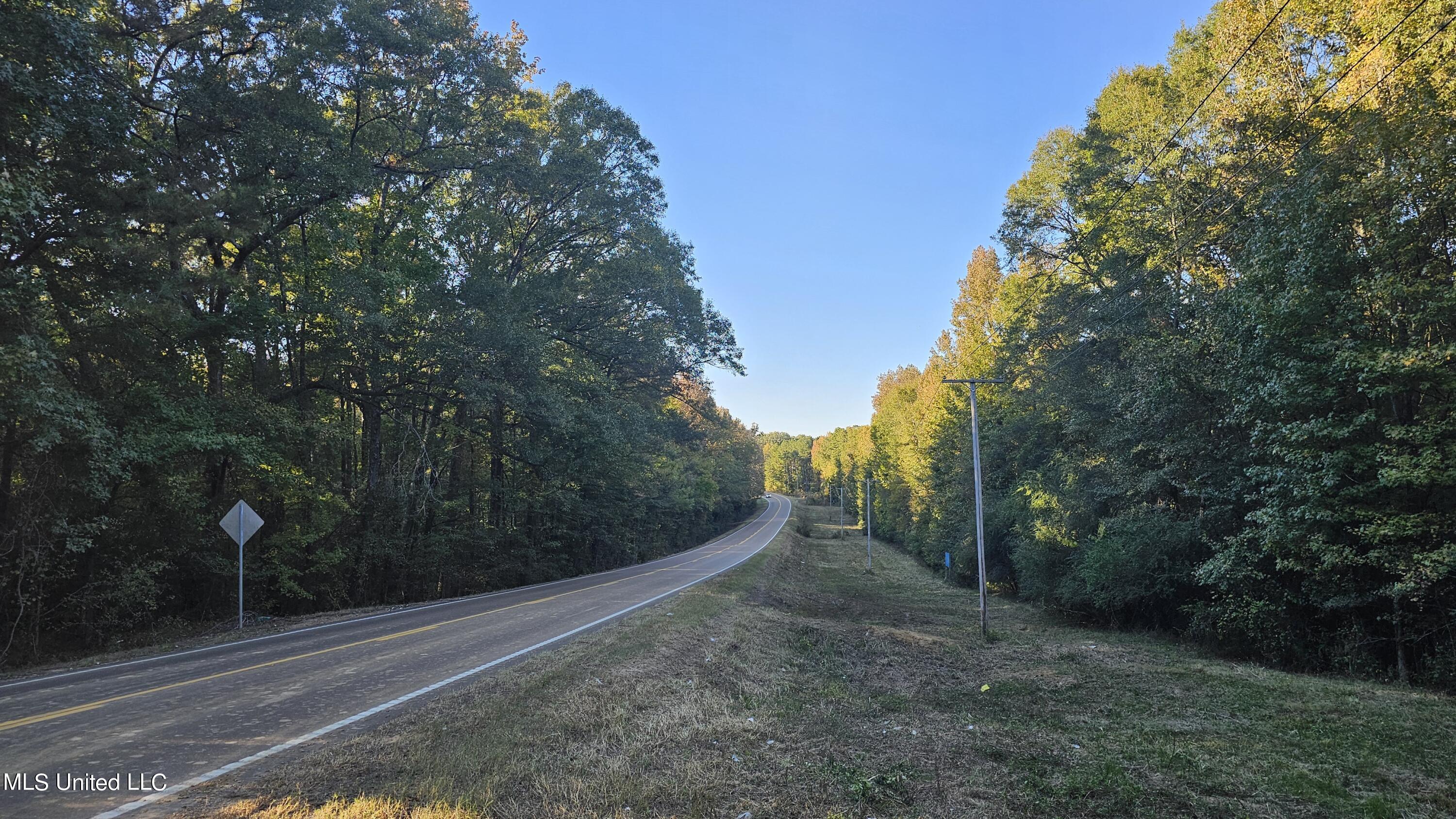 Highway 35, Vaiden, Mississippi image 4