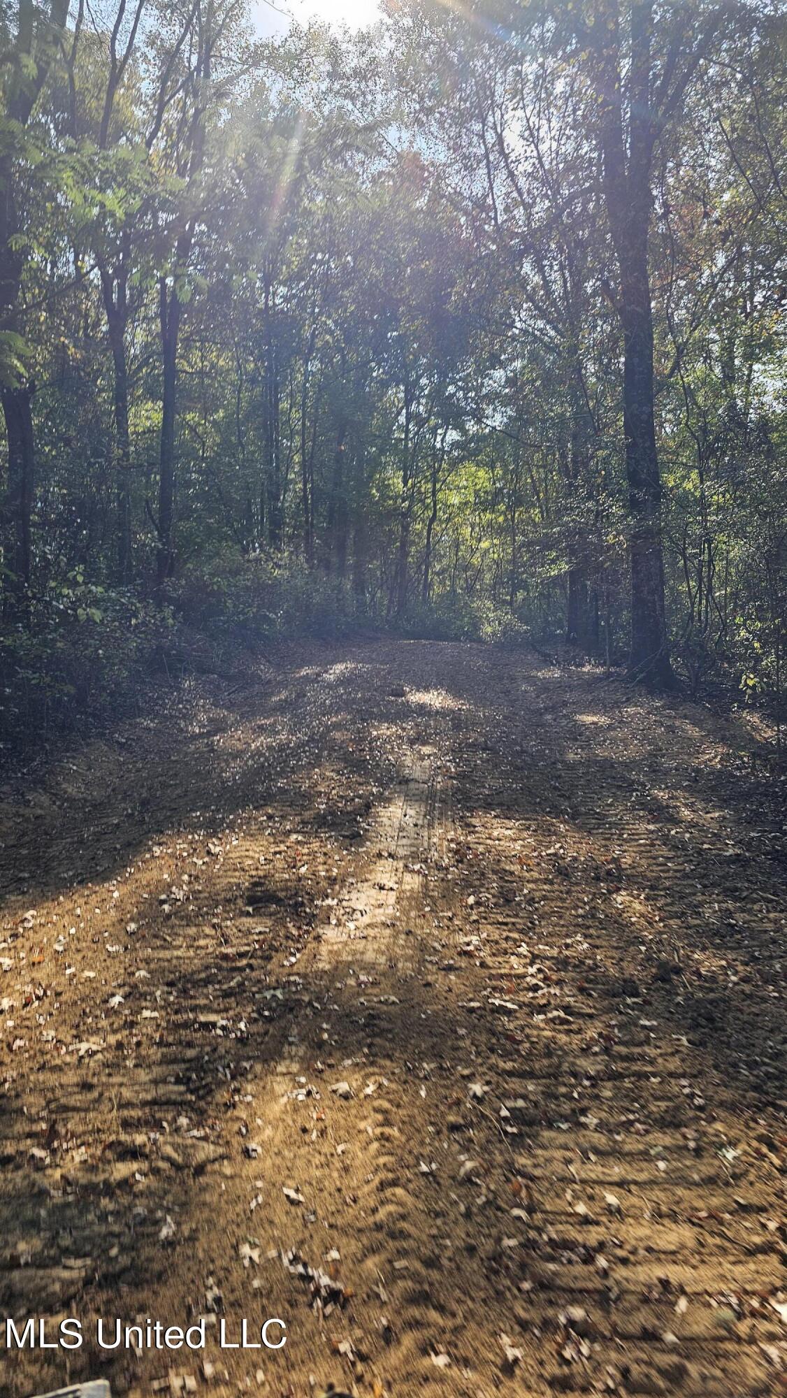 Highway 35, Vaiden, Mississippi image 29