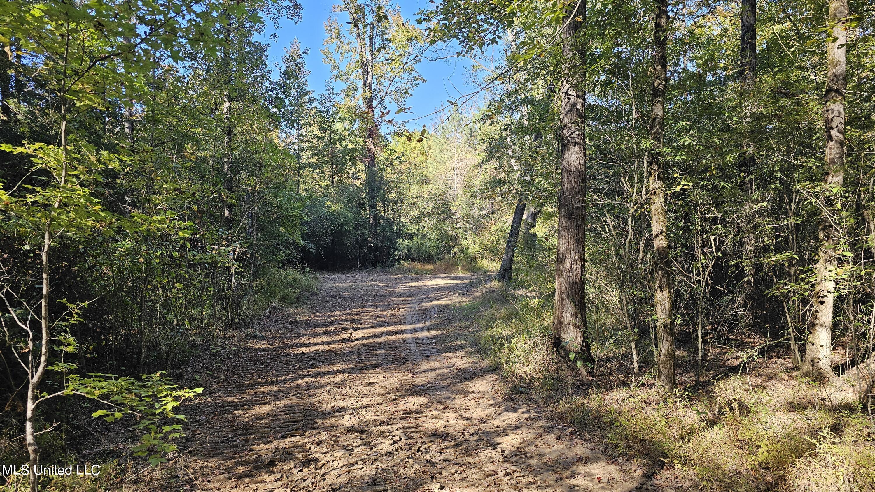 Highway 35, Vaiden, Mississippi image 32