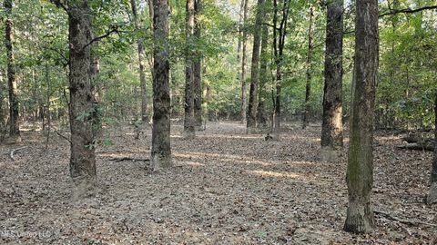 Vacant Land For Sale - Highway 35<br/> Vaiden, MS 39176