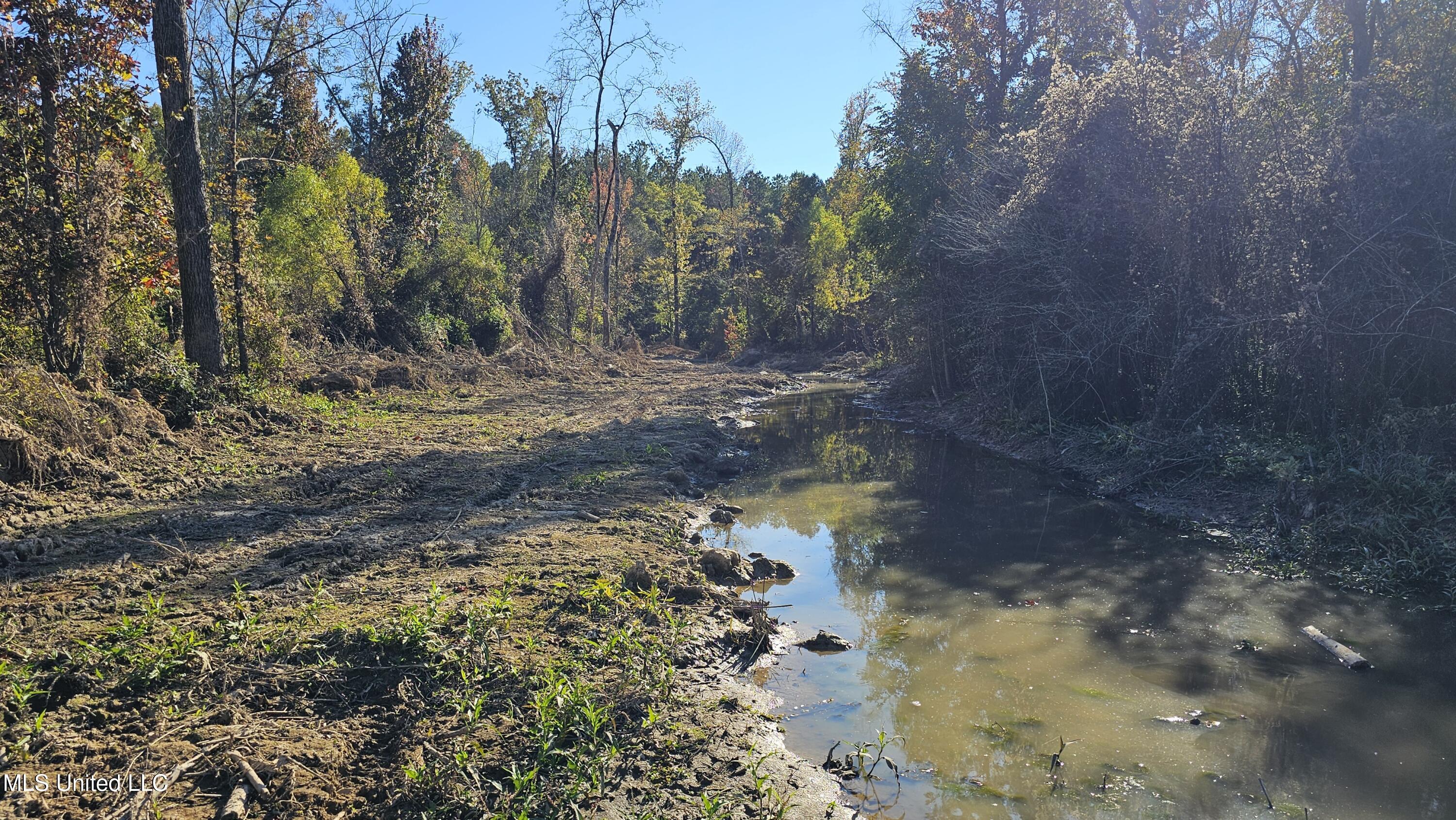 Highway 35, Vaiden, Mississippi image 37