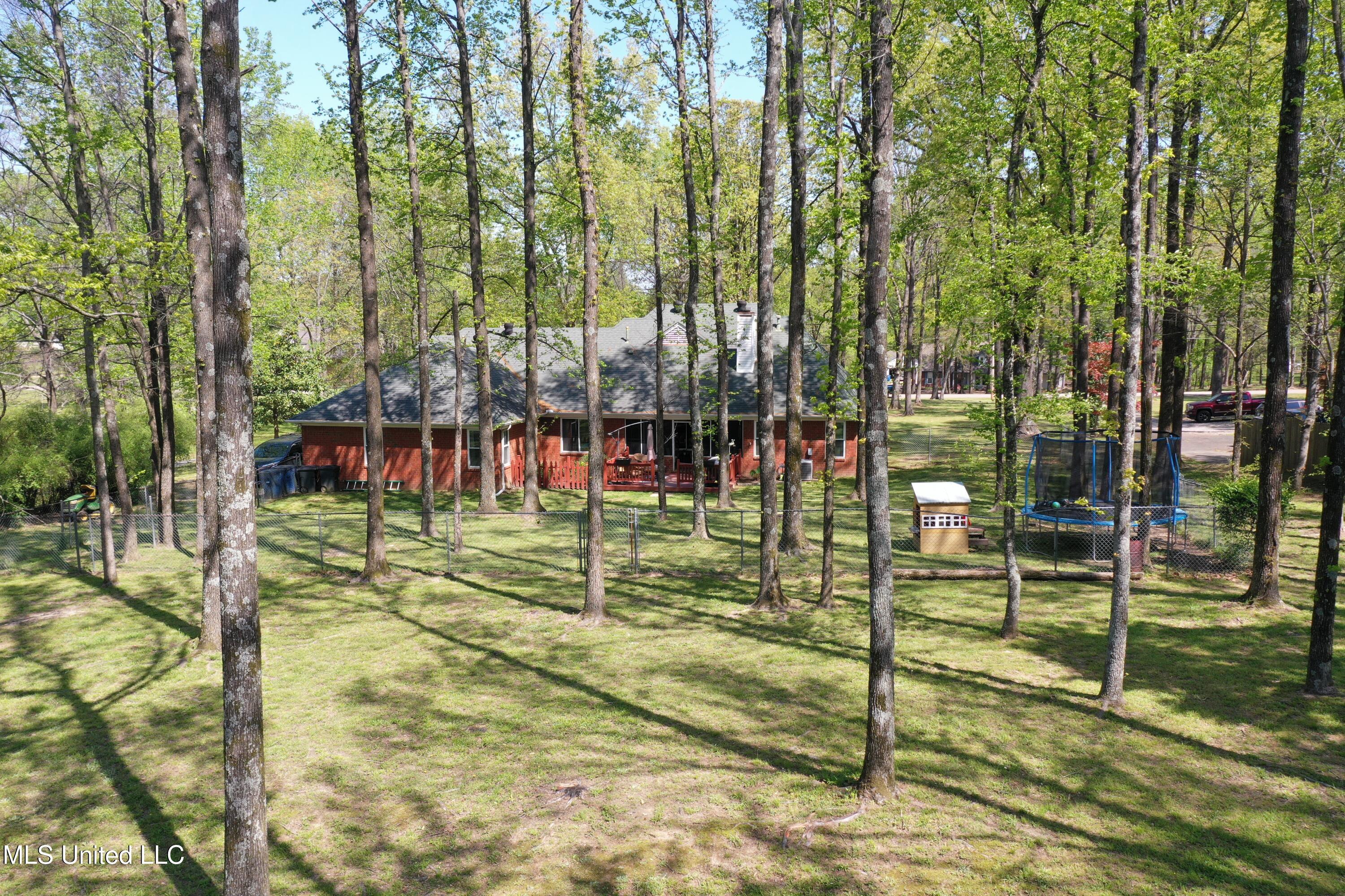 5325 Coleman Road, Olive Branch, Mississippi image 50