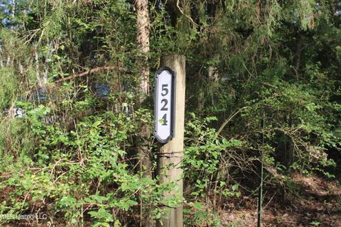 Vacant Land For Sale - 524 Davis Crossing Road<br/> Canton, MS 39046