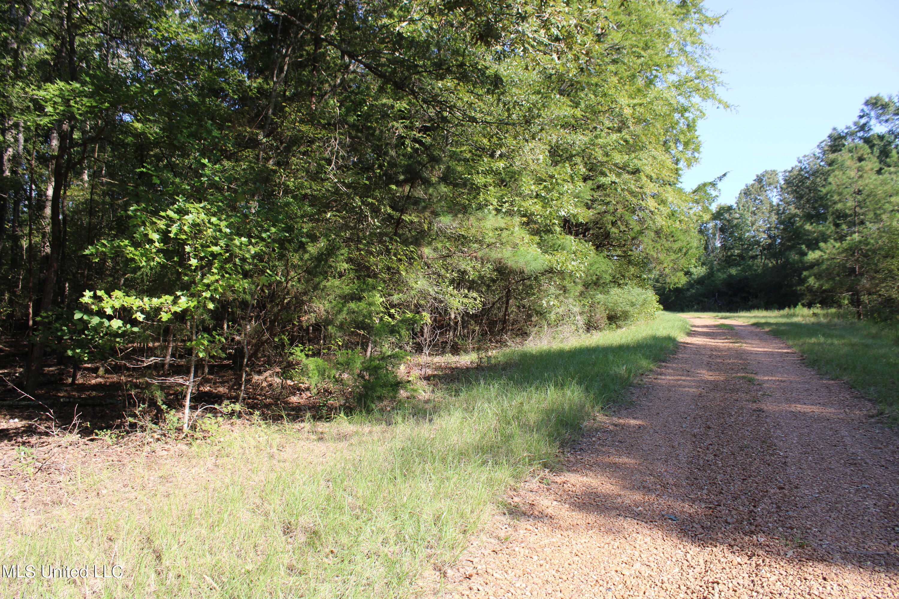 524 Davis Crossing Road, Canton, Mississippi image 20