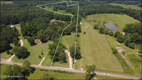 Vacant Land For Sale - 13610 Lebanon Pinegrove Road<br/> Terry, MS 39170