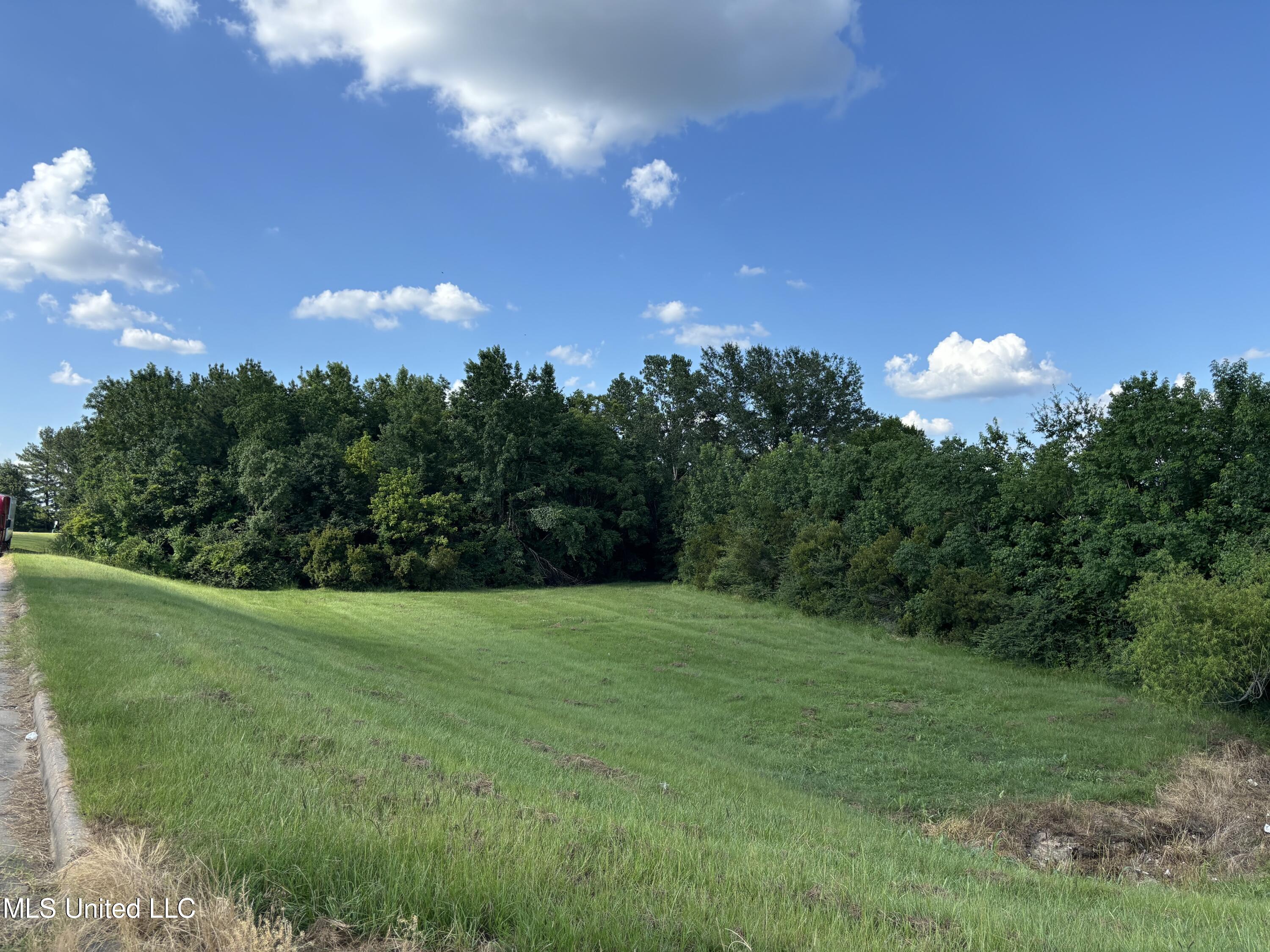 000 Boyce Thompson Drive, Brandon, Mississippi image 9