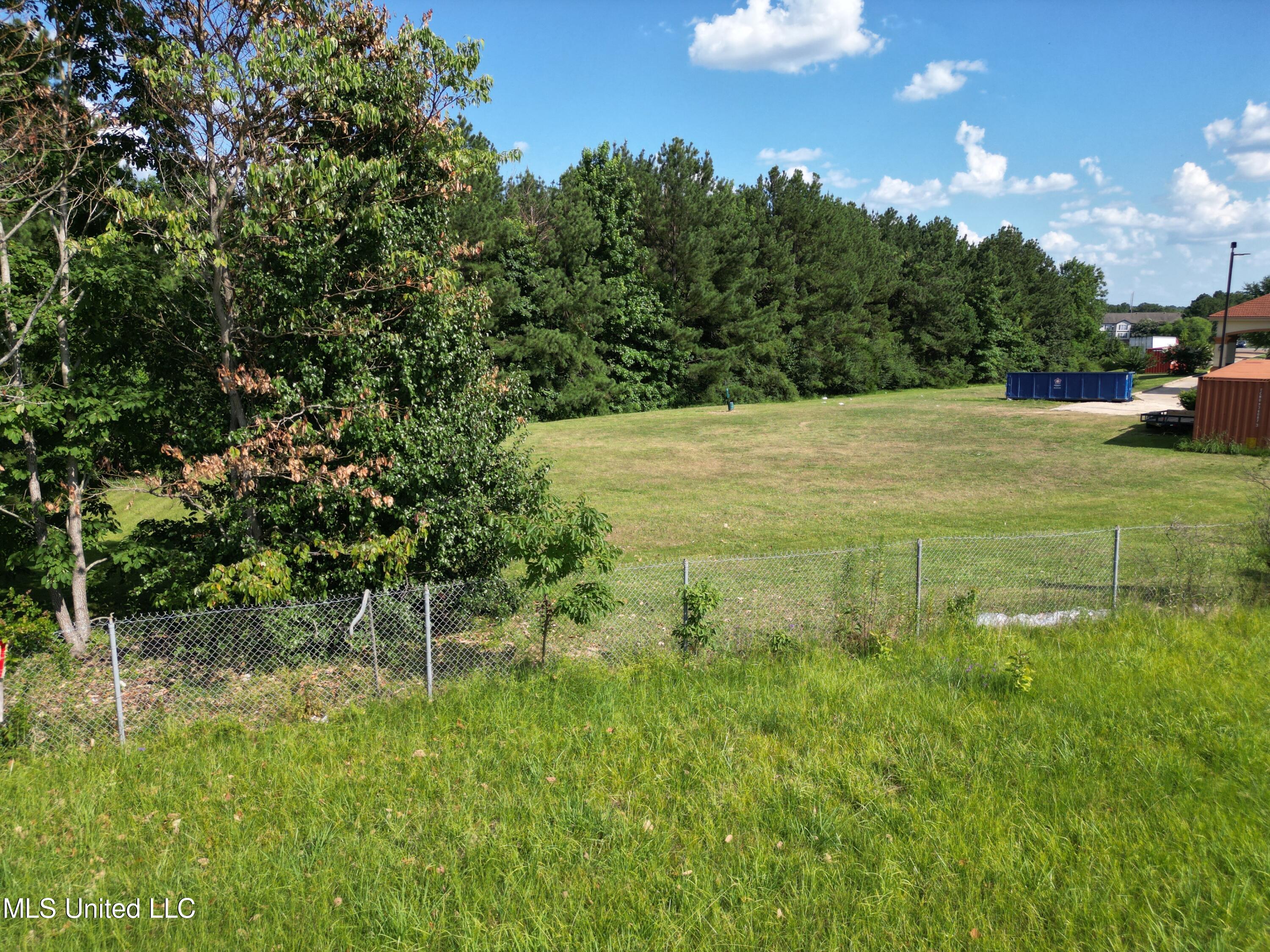 000 Boyce Thompson Drive, Brandon, Mississippi image 8