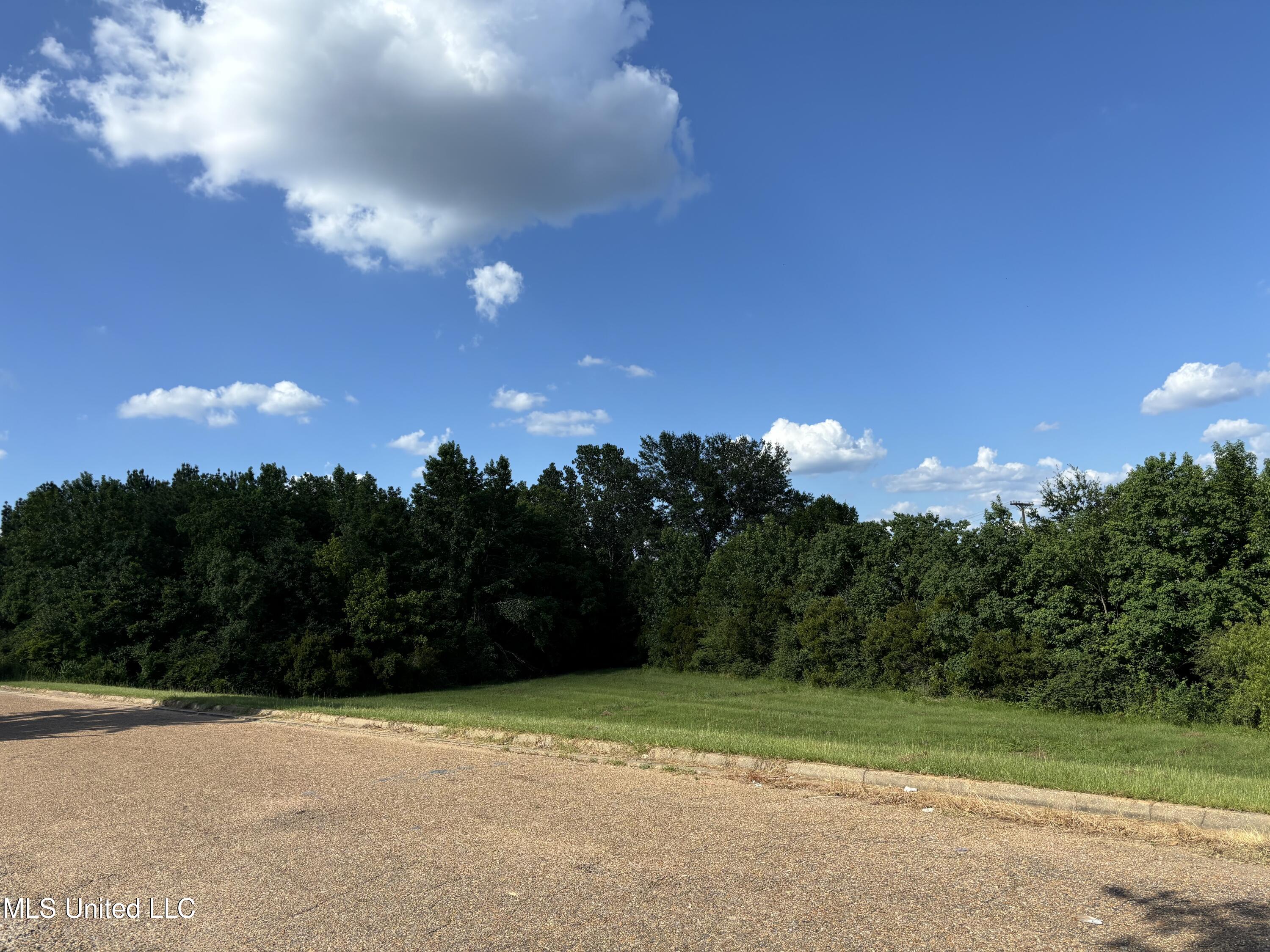 000 Boyce Thompson Drive, Brandon, Mississippi image 10