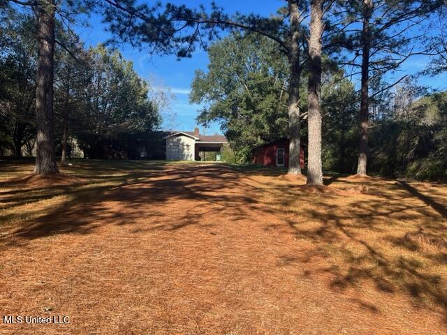 51 Blakney Creek Church Road, Collins, Mississippi image 3